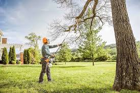 Best Pest Control for Lawns  in Throop, PA